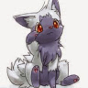 Meet your Posher, Flutter